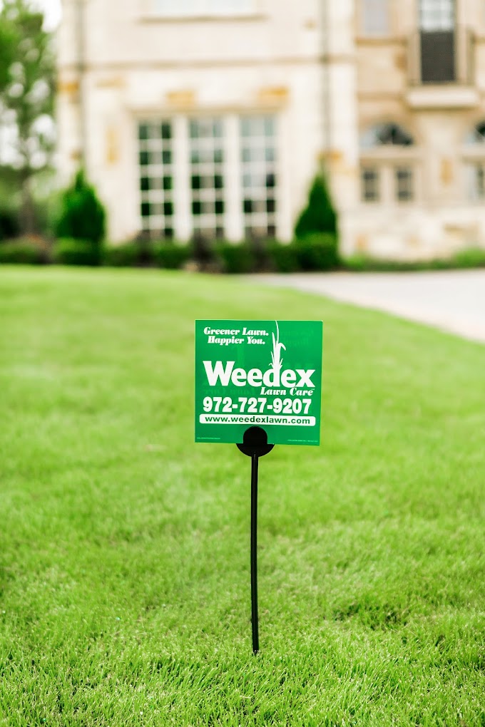 Green Weedex lawn care sign on well-manicured grass in front of house
