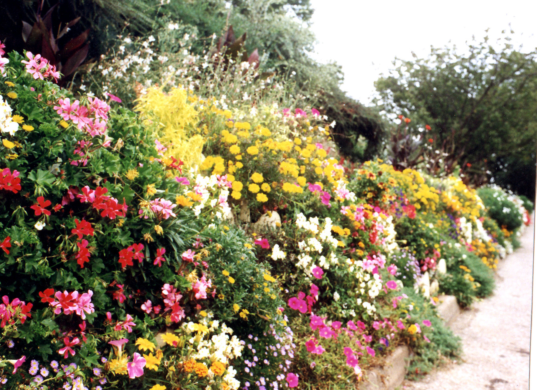 mur-de-soutennement-vegetalise-enjeux-climatiques-durables