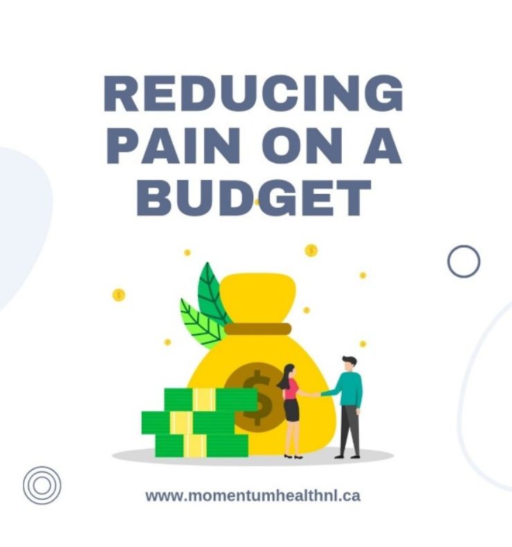 Two people shaking hands next to a big bag of money located below the text "Reducing pain on a budget"