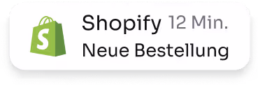 Shopify Bestellung 4