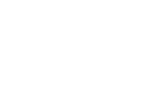 White Mastercard logo