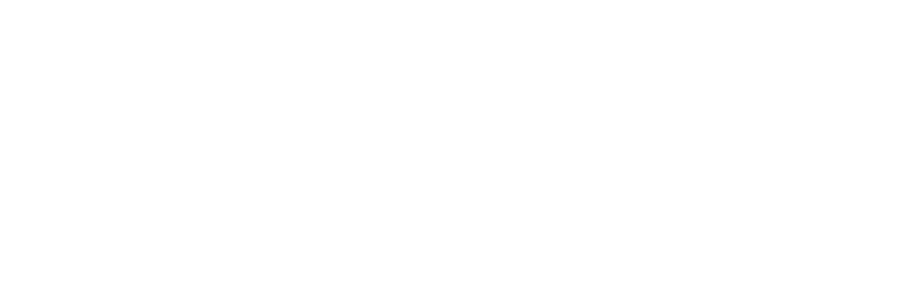 White Visa logo