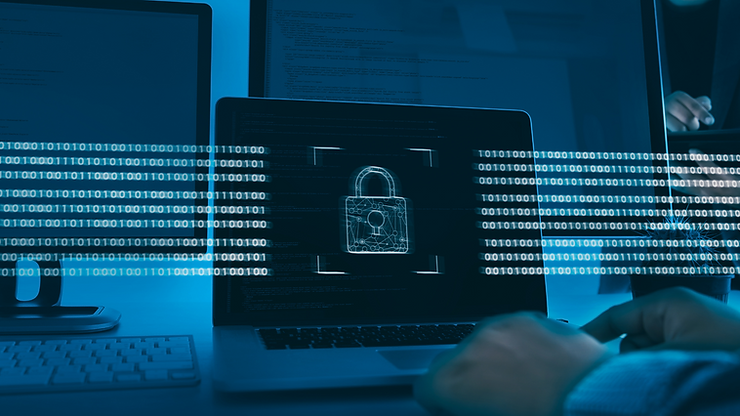 Detect magecart, e-skimmers and digital skimmers, loaders and more malware.