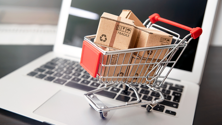 protect your ecommerce site from cyber crime.