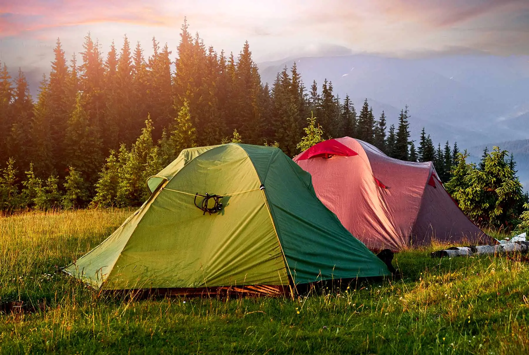 camping mit kindern deutschland Camping mit Kindern  AlpacaCamping