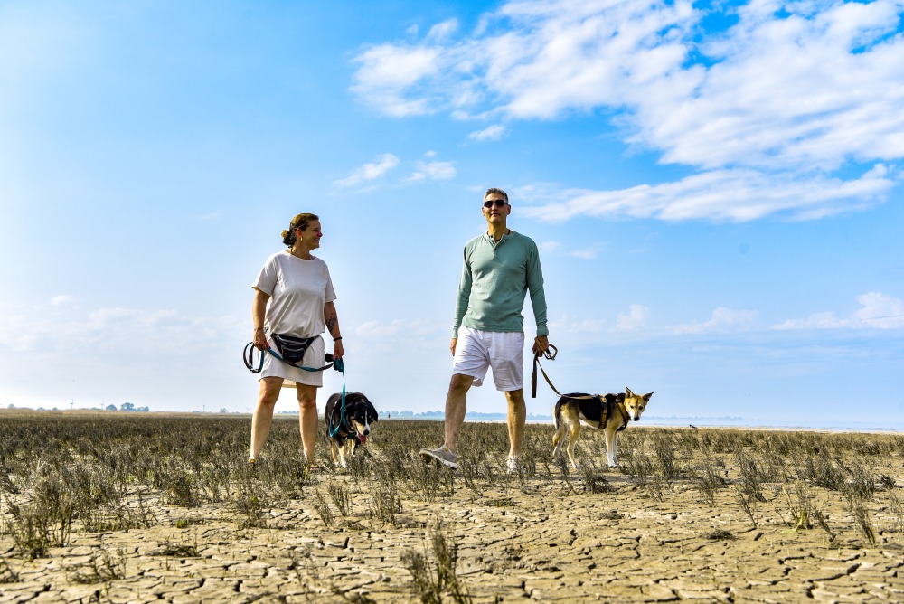 Ein Nordseeurlaub mit dem Hund sorgt für Erlebnisse.