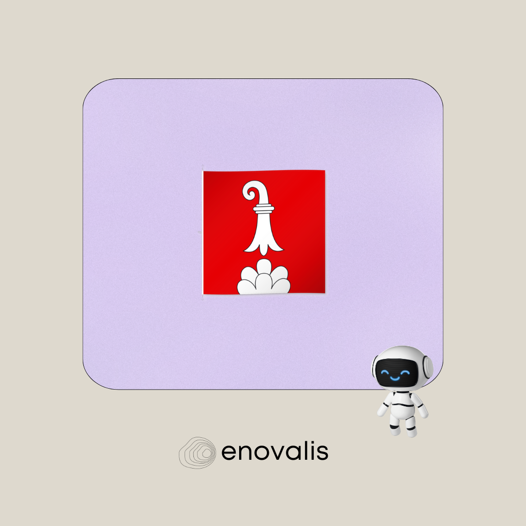 Commune de Delémont x enovalis : un assistant numérique pour simplifier l’accès à l’information