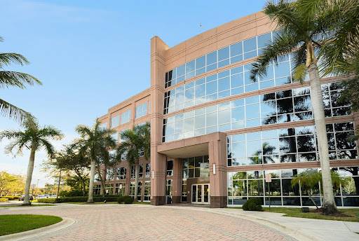 Modern office building with reflective glass windows surrounded by palm trees and a paved driveway under a clear blue sky.