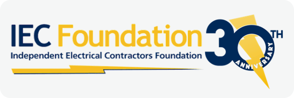 IEC Foundation 30th Anniversary logo