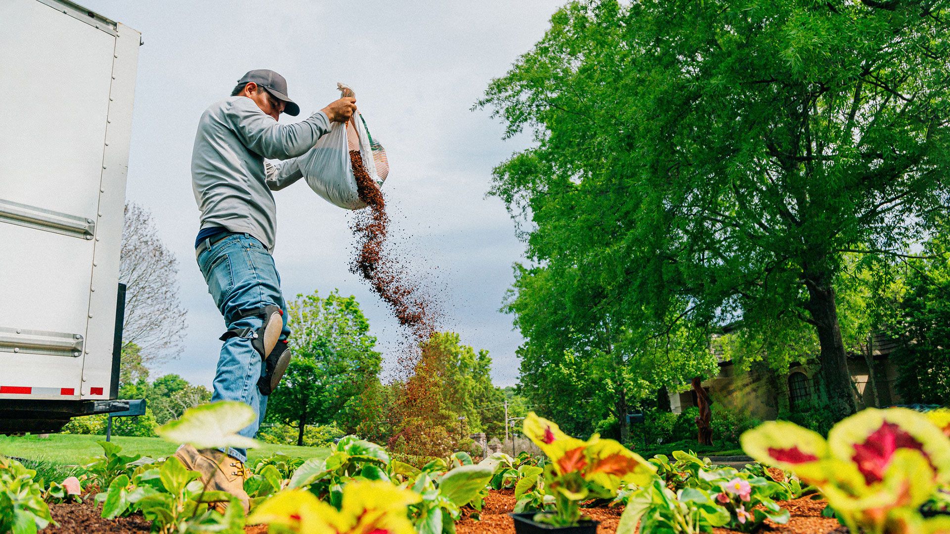 Landscape enhancement project near me