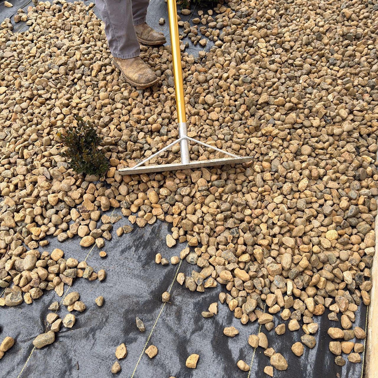 Leaf removal service for residential lawns