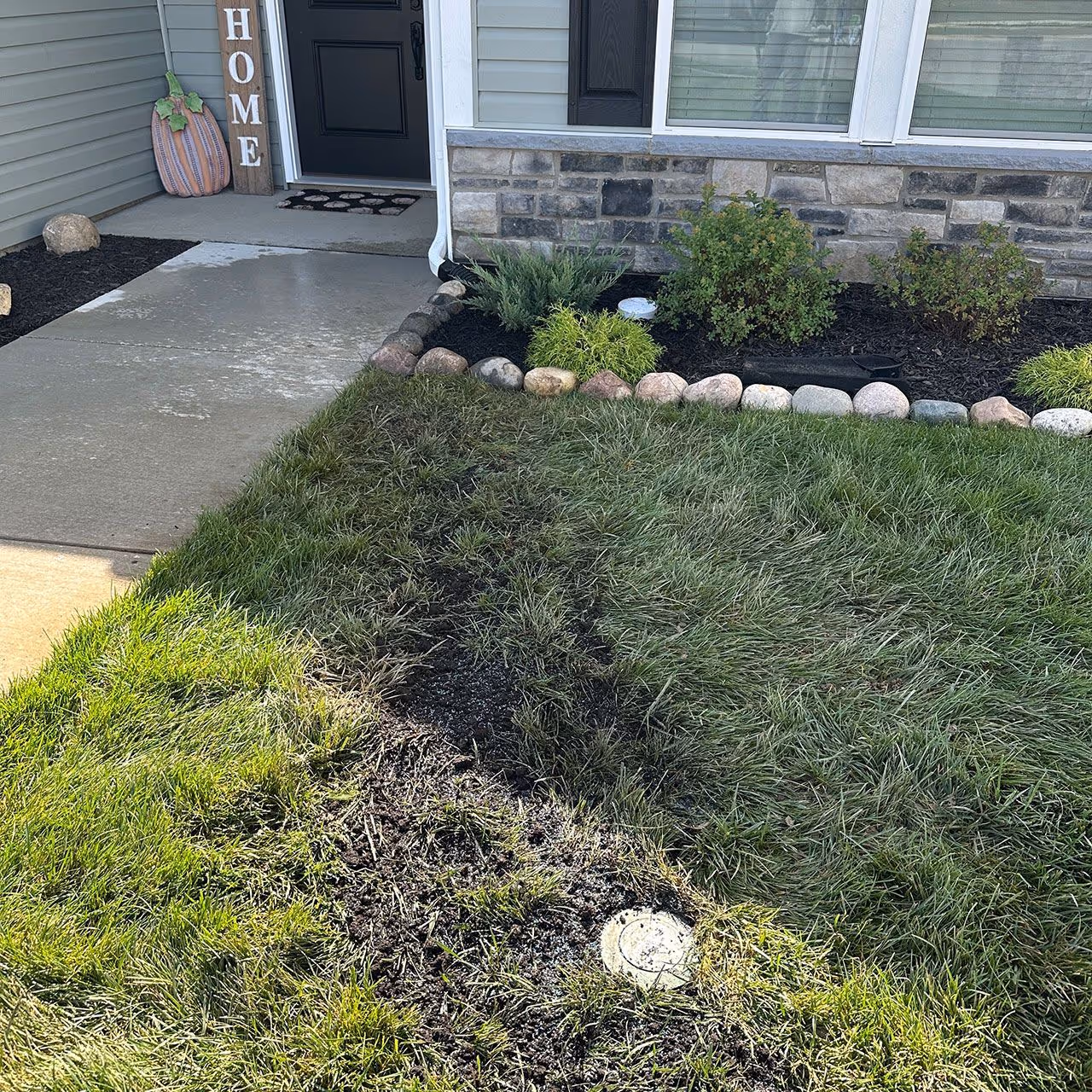 Professional lawn maintenance near me