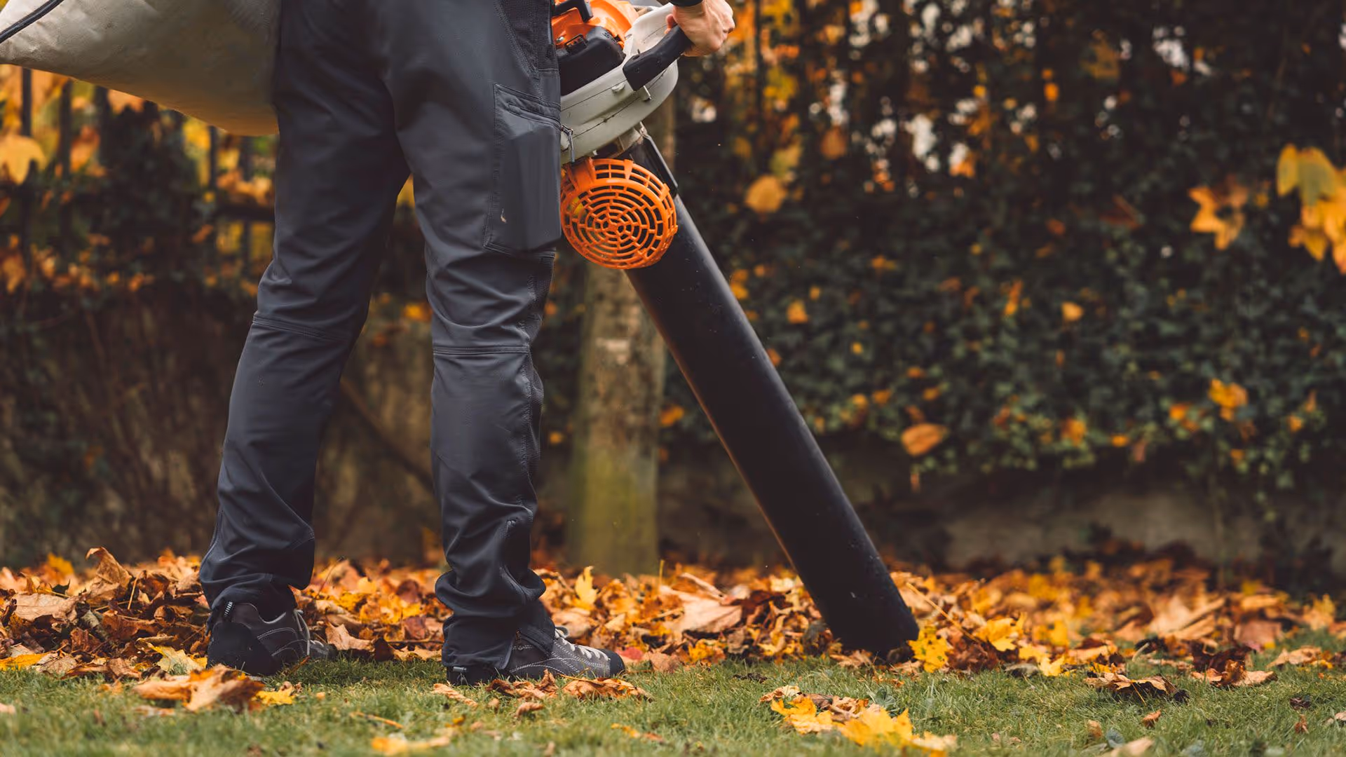 Spring lawn cleanup service near me