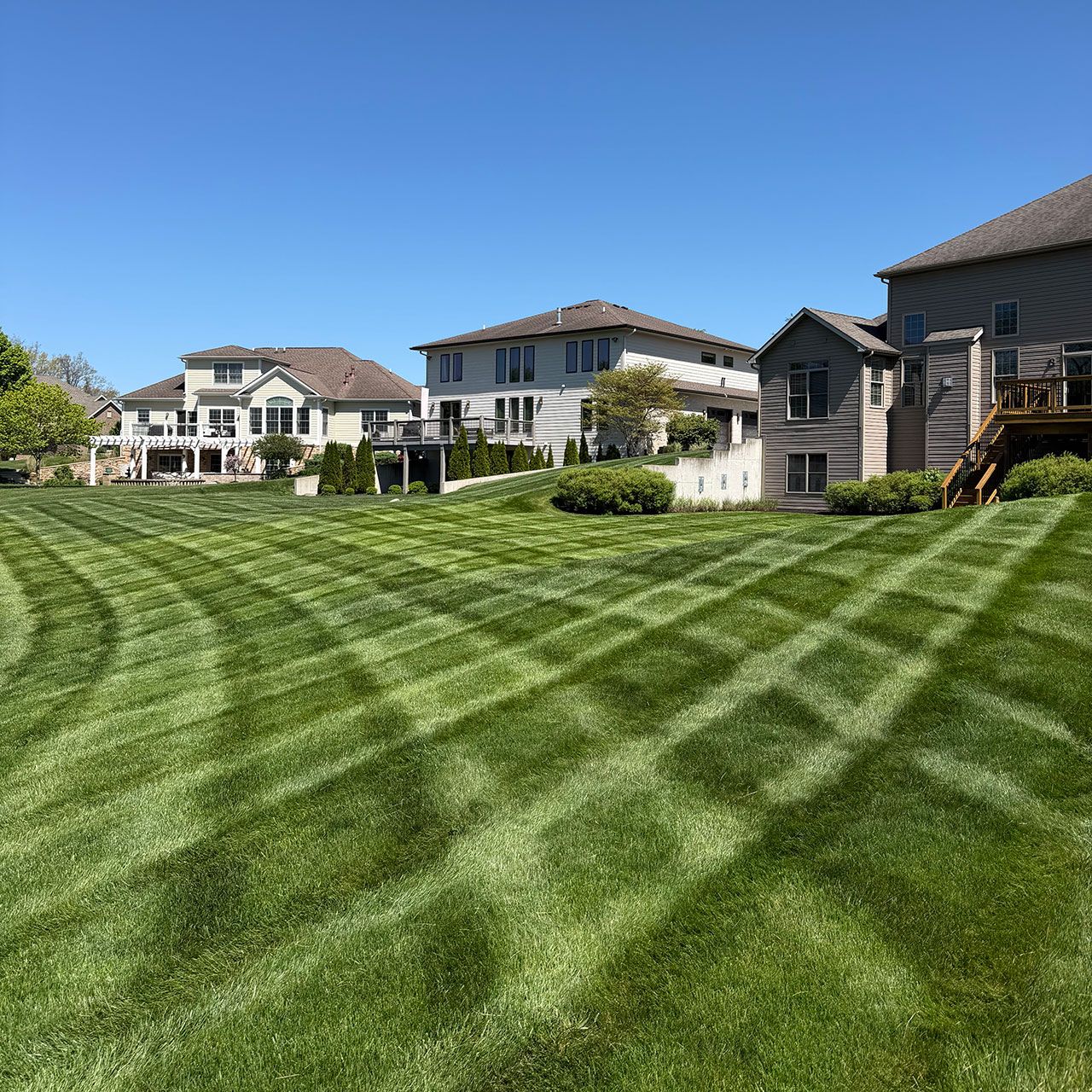 Freshly mowed backyard in upscale subdivision by Antonio's Outdoors.