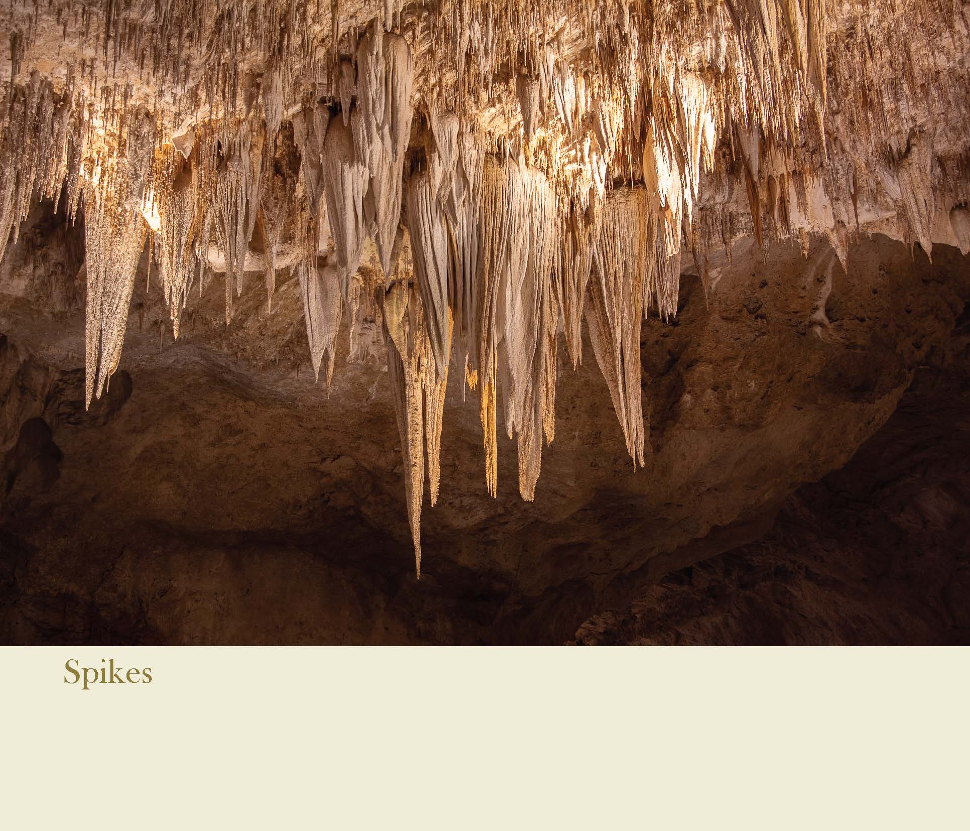 stalactites at carlsbad cavern