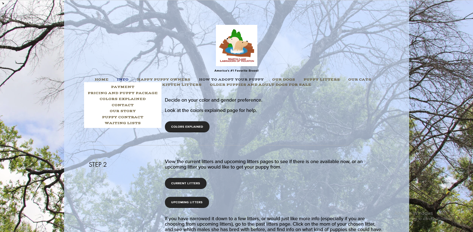 Martin lake website showing navigator drop down menu