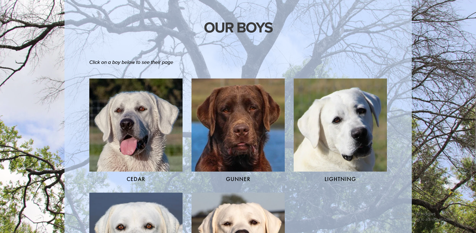 Martin lake website our boys page