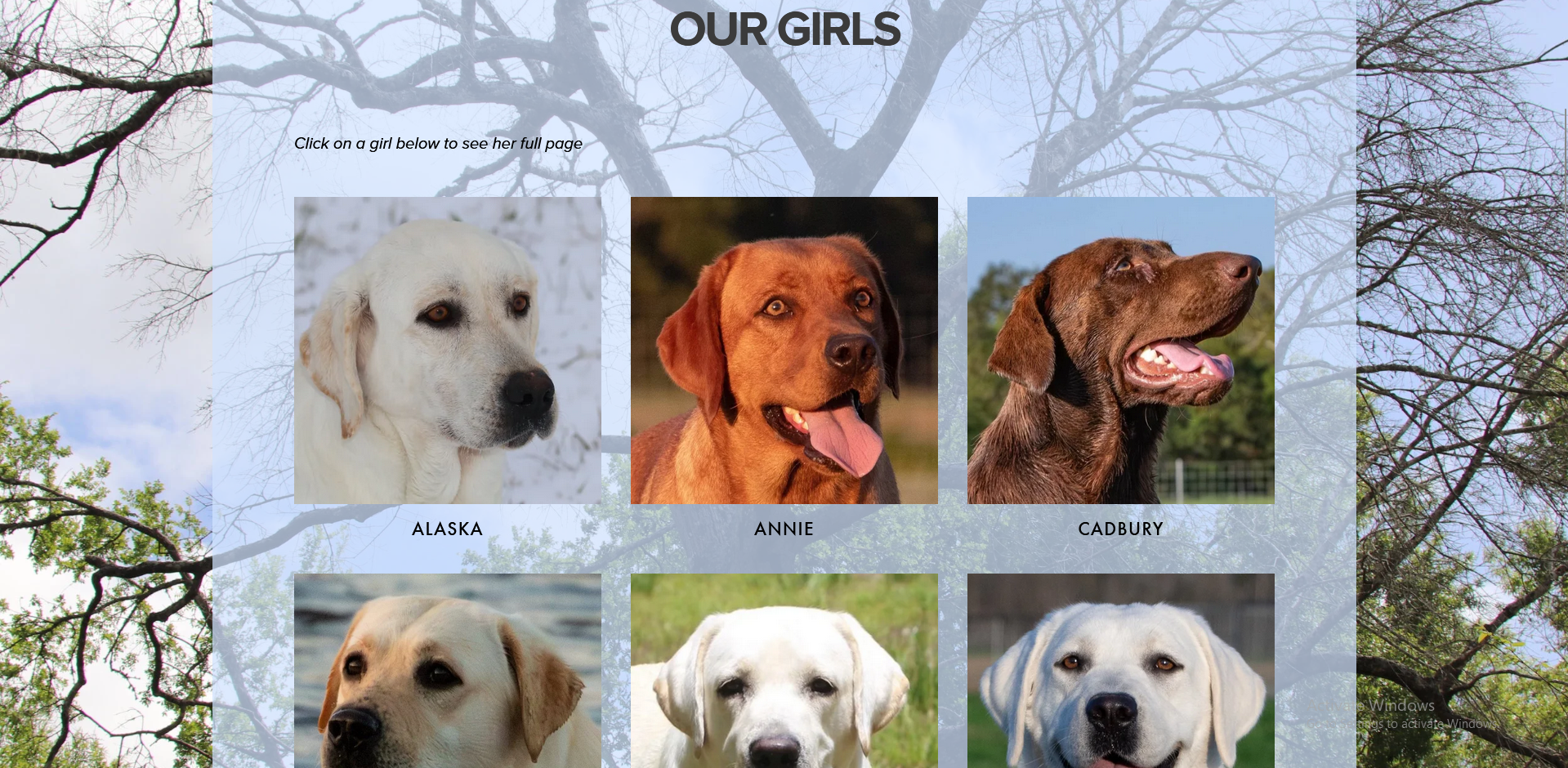 Martin lake website our girls page