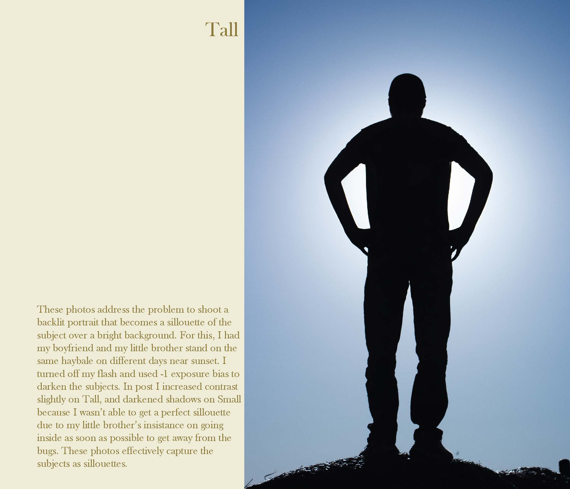 a silhouette of a tall handsome man standing in front of a blue sky 