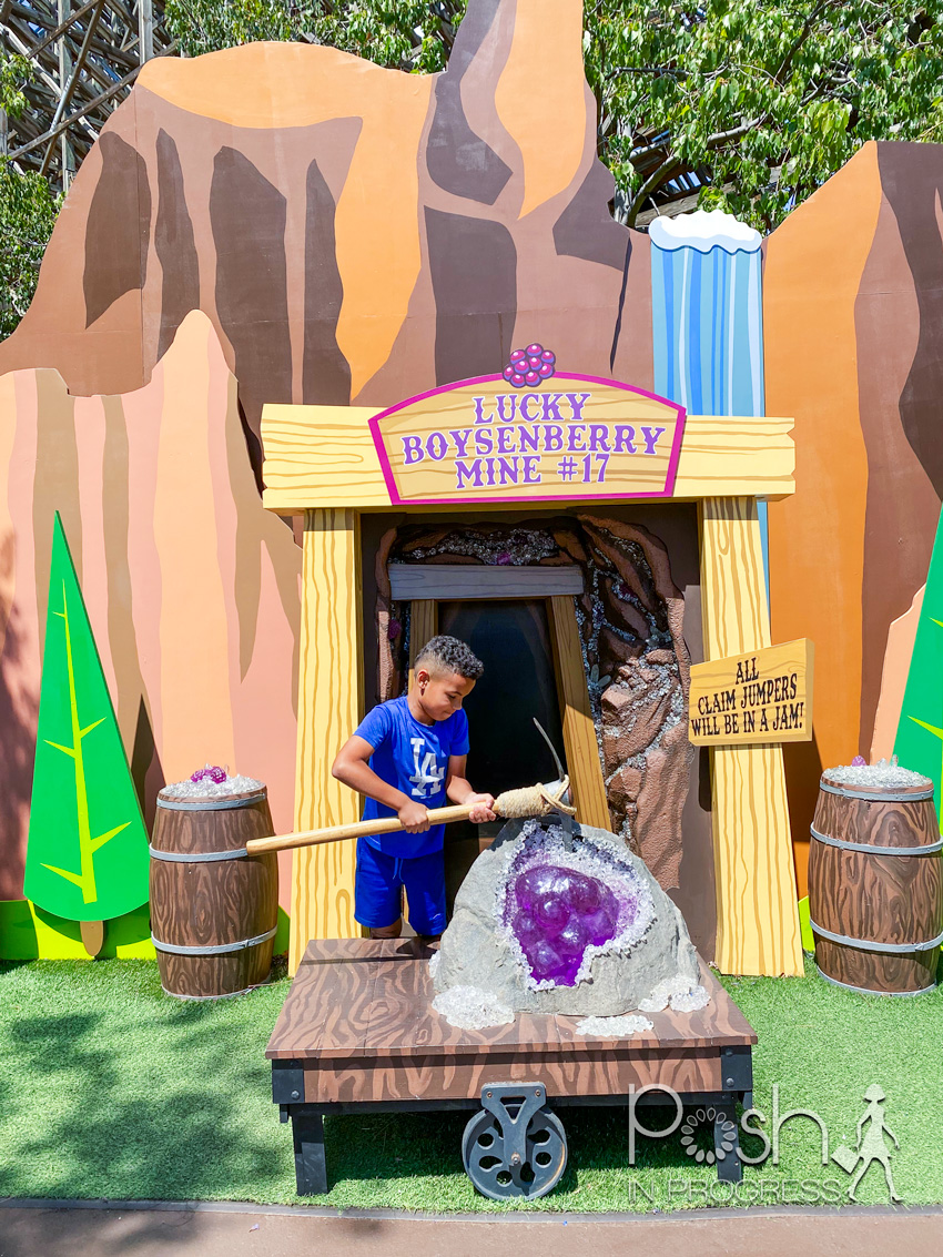 Knott’s berry farm season pass 7 Stacey Freeman Posh in Progress
