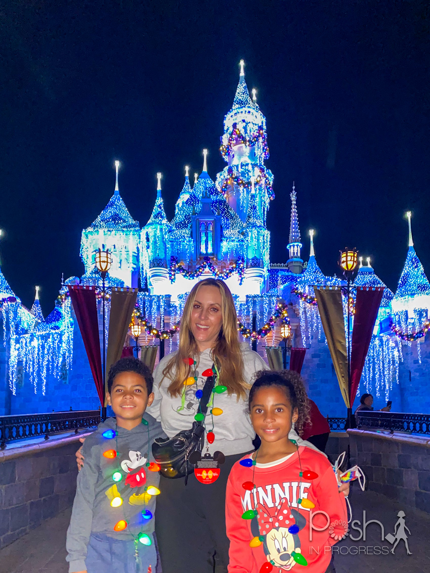 Disney Merriest Nites 3