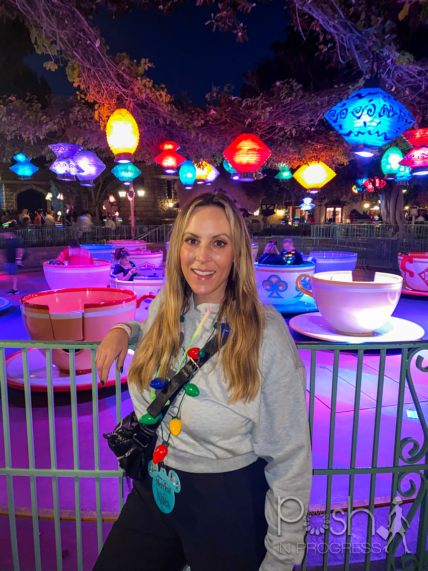 Disney Merriest Nites 4