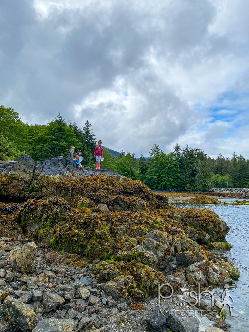 Things to do in Sitka Alaska by popular LA travel blog, Posh in Progress: image of some young kids looking at tide pools. 