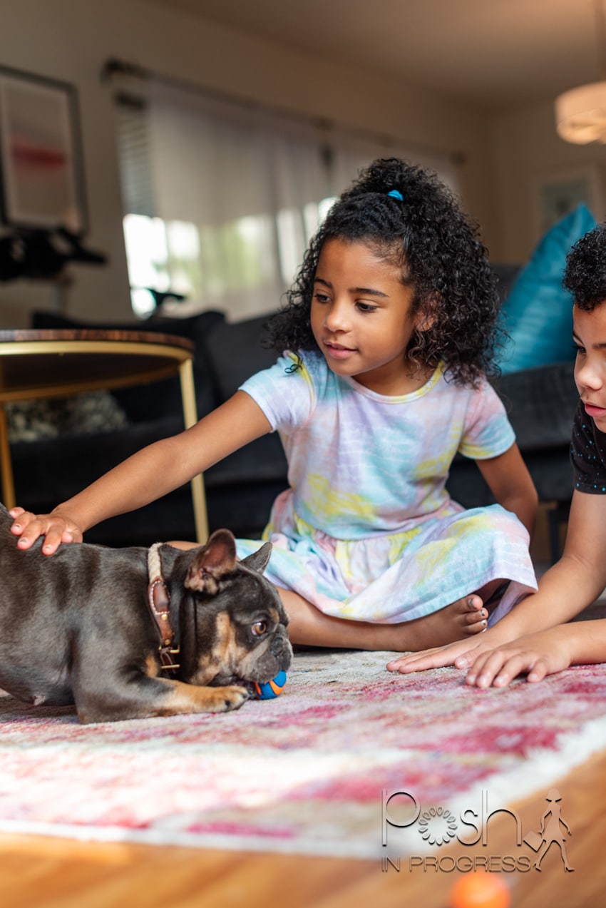 adopting a rescue dog 3