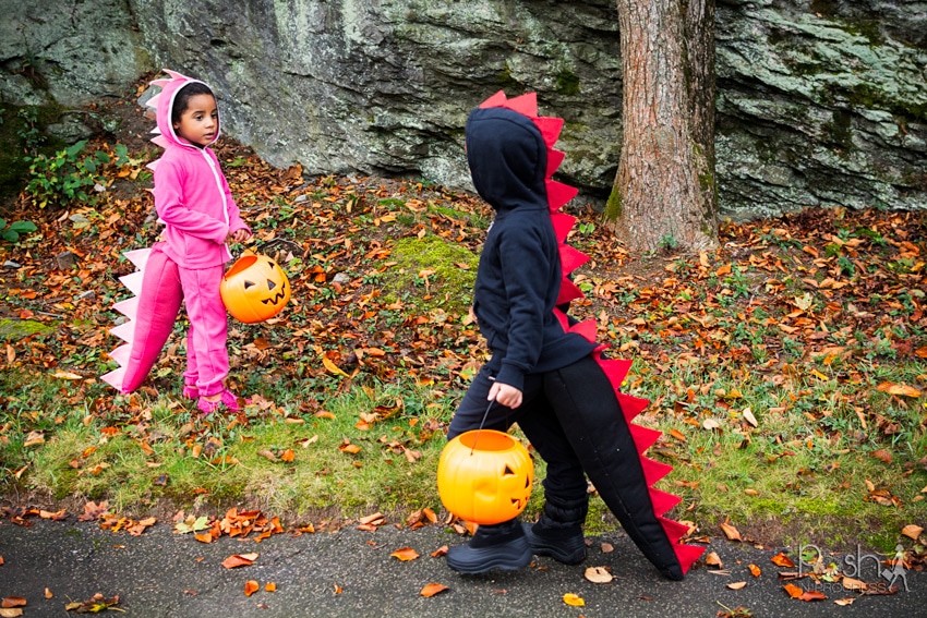 How to Make This Simple DIY Dinosaur Costume Out of a Sweat Suit; how to make easy diy costume for kids