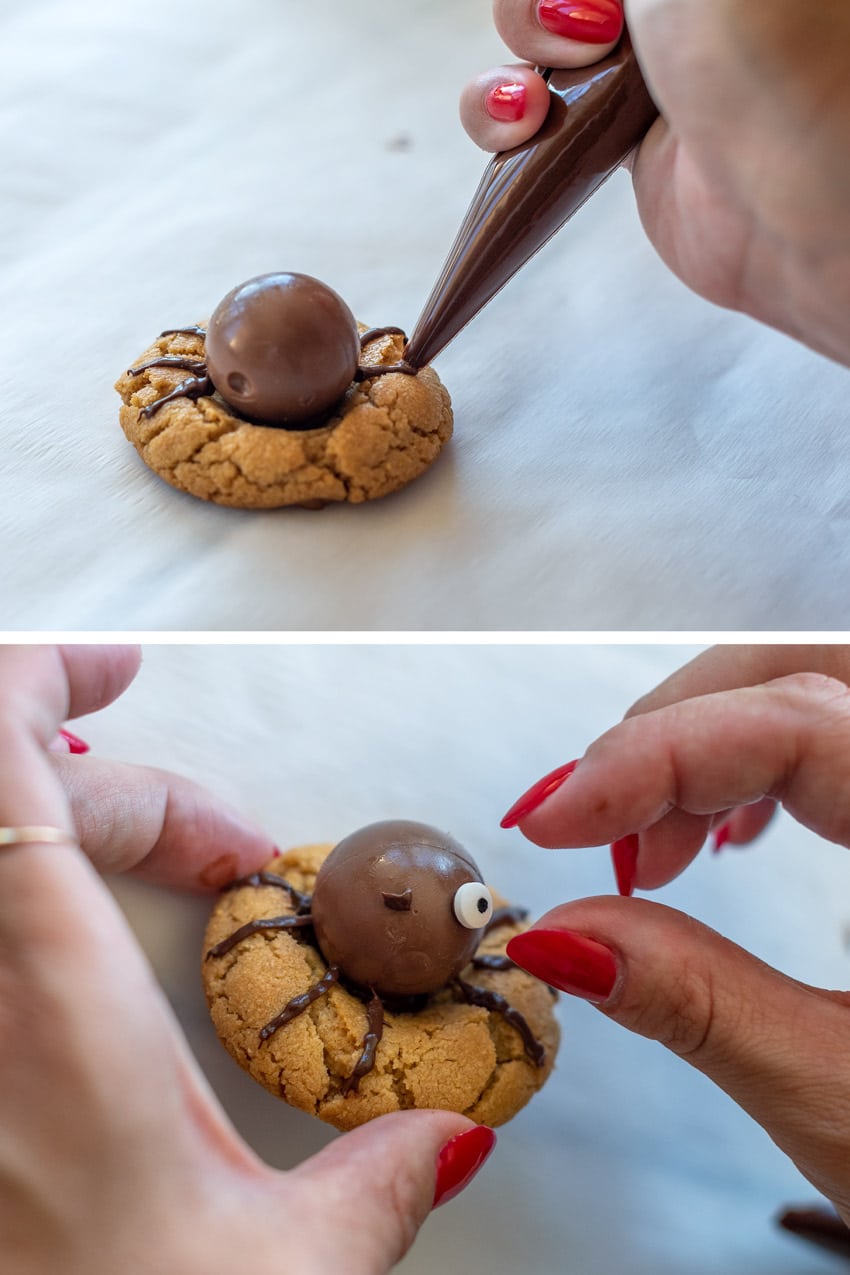 halloween spider cookies 2