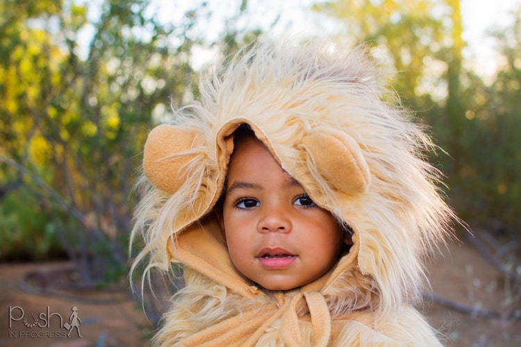 homemade-lion-costume-13