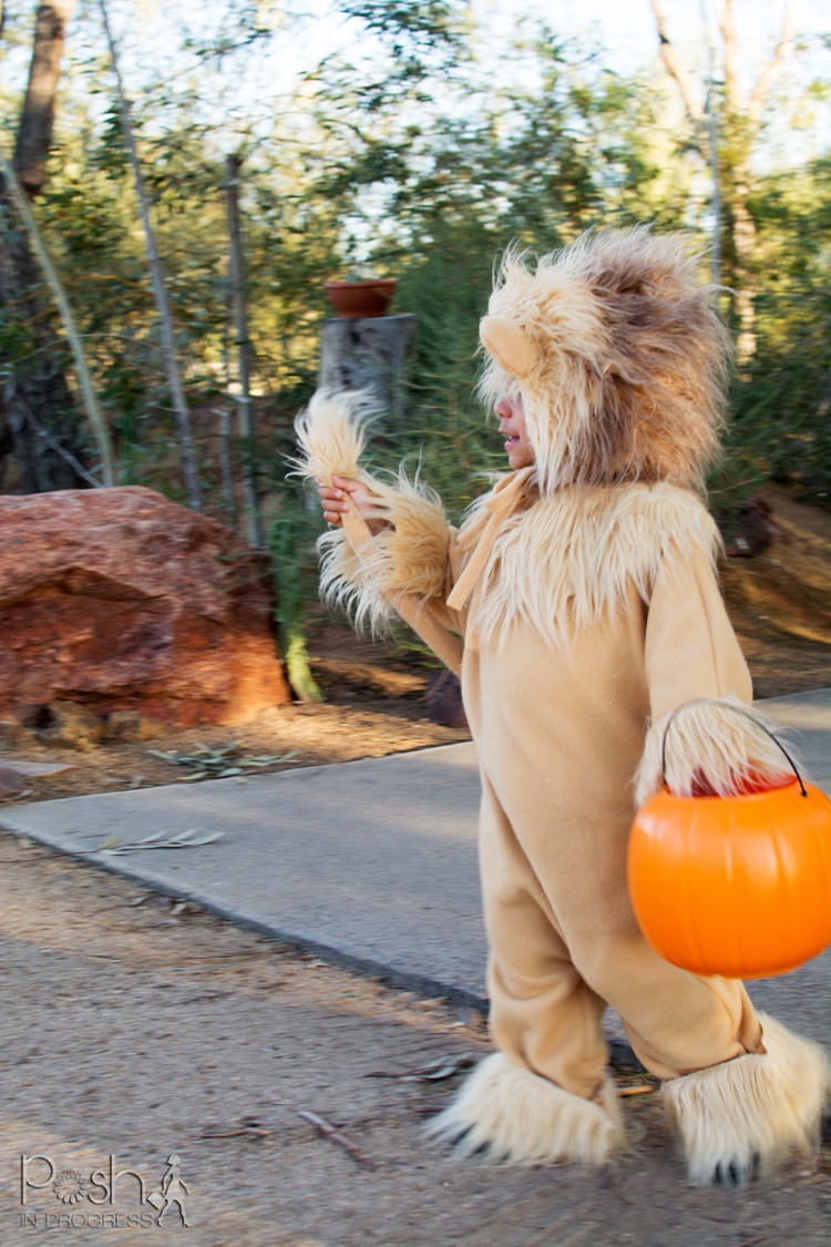 homemade-lion-costume-06
