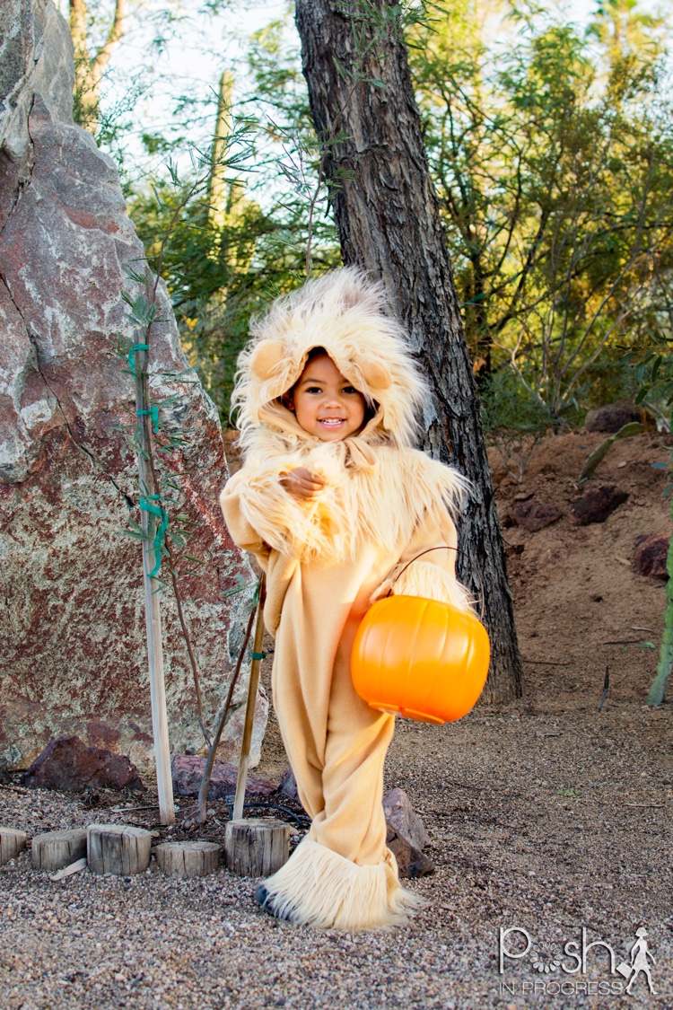 If you want to make a DIY lion costume it is really easy. See Rocco's little tail in the back?