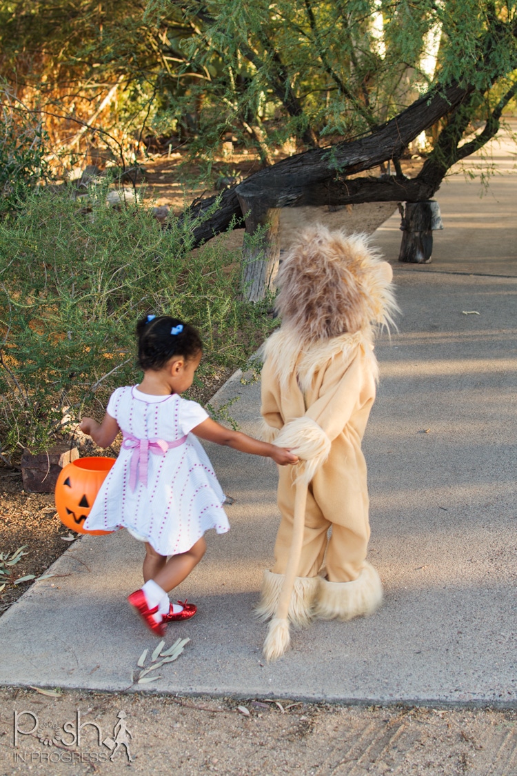 homemade-lion-costume-10