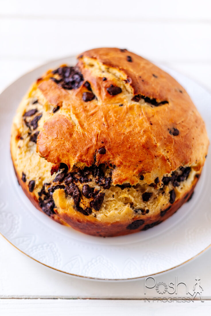 Chocolate Panettone
