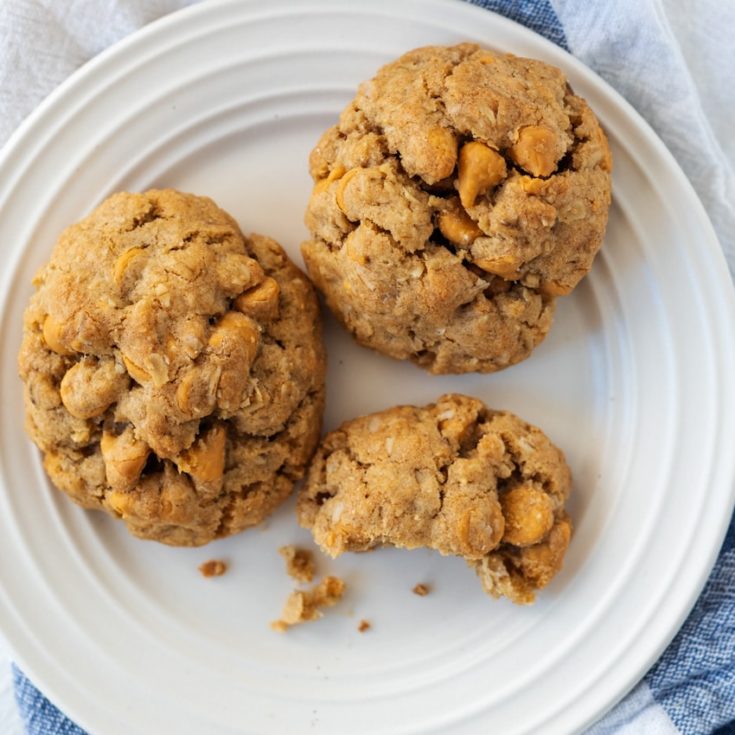 Chewy Oatmeal Scotchies