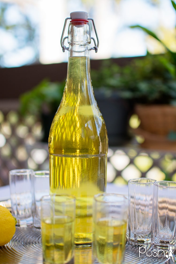 homemade-limoncello-recipe-09