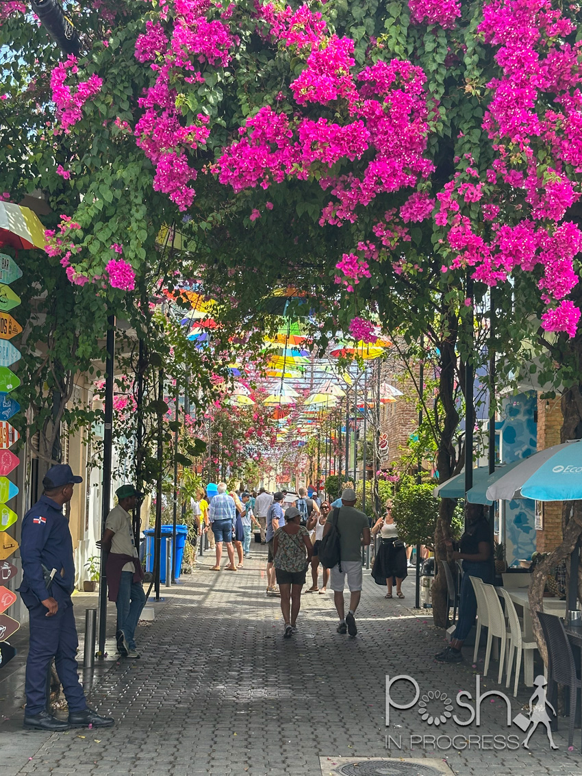 things to do in puerto plata 2