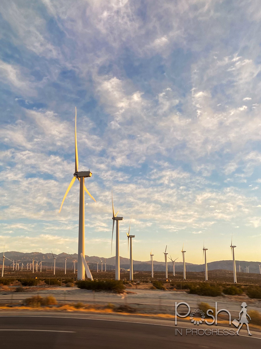 ritz carlton palm springs stacey freeman posh in progress 3