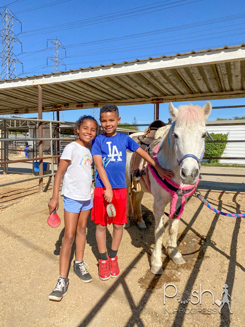 pony rides in los angeles Stacey freeman Posh in Progress