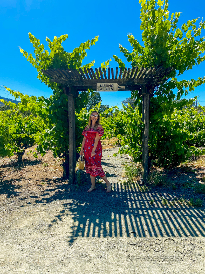 sonoma wine tour 3 | Sonoma Wine Tour by popular LA lifestyle blog, Posh in Progress: image of a woman standing under a pergola and wearing a red and blue floral print off the shoulder maxi dress and holding a woven circular bag. 