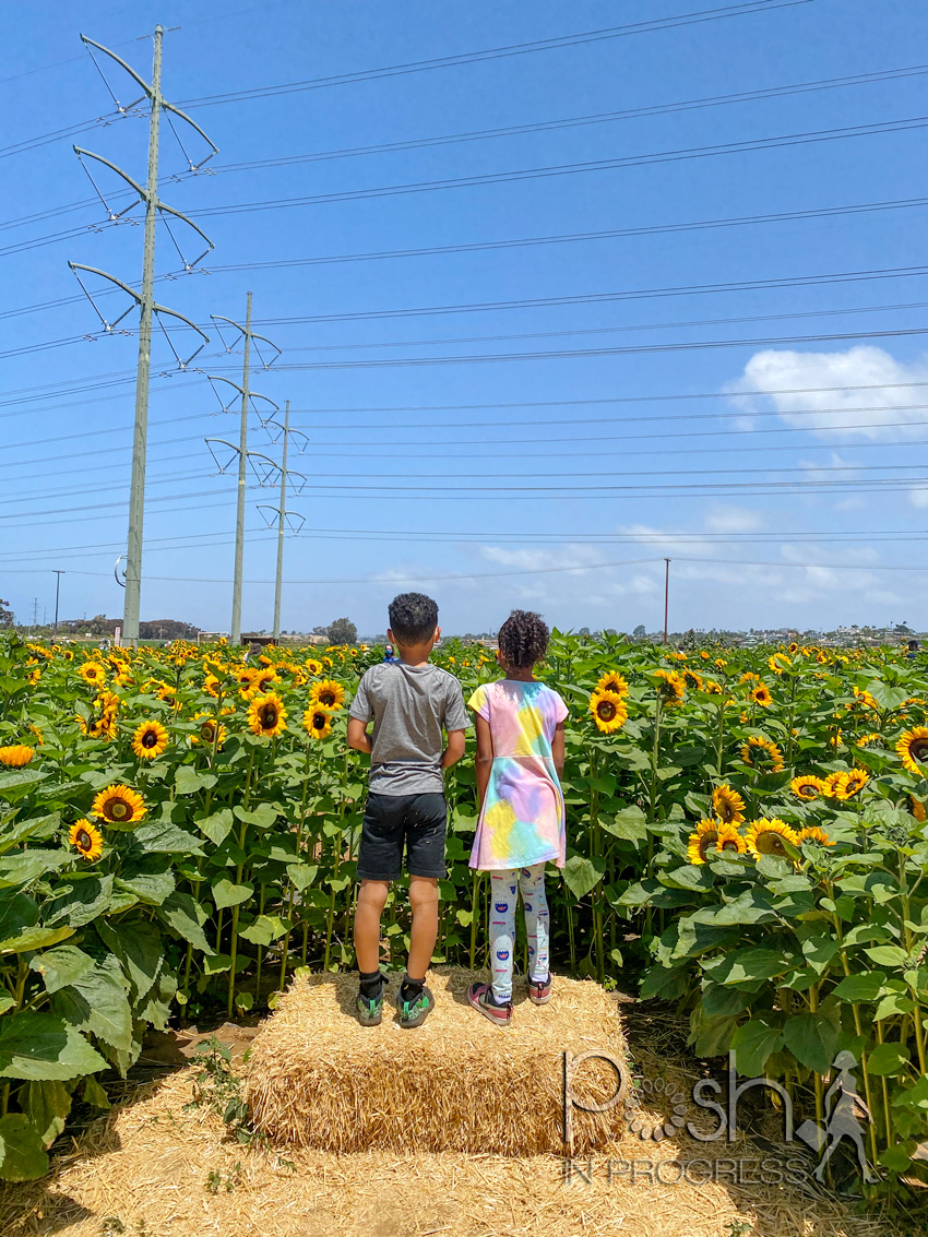 Carlsbad Flower Fields by popular LA lifestyle blog, Posh in Progress: image of a young boy and girl standing on a hay bale together and looking out at a field of sunflowers. 