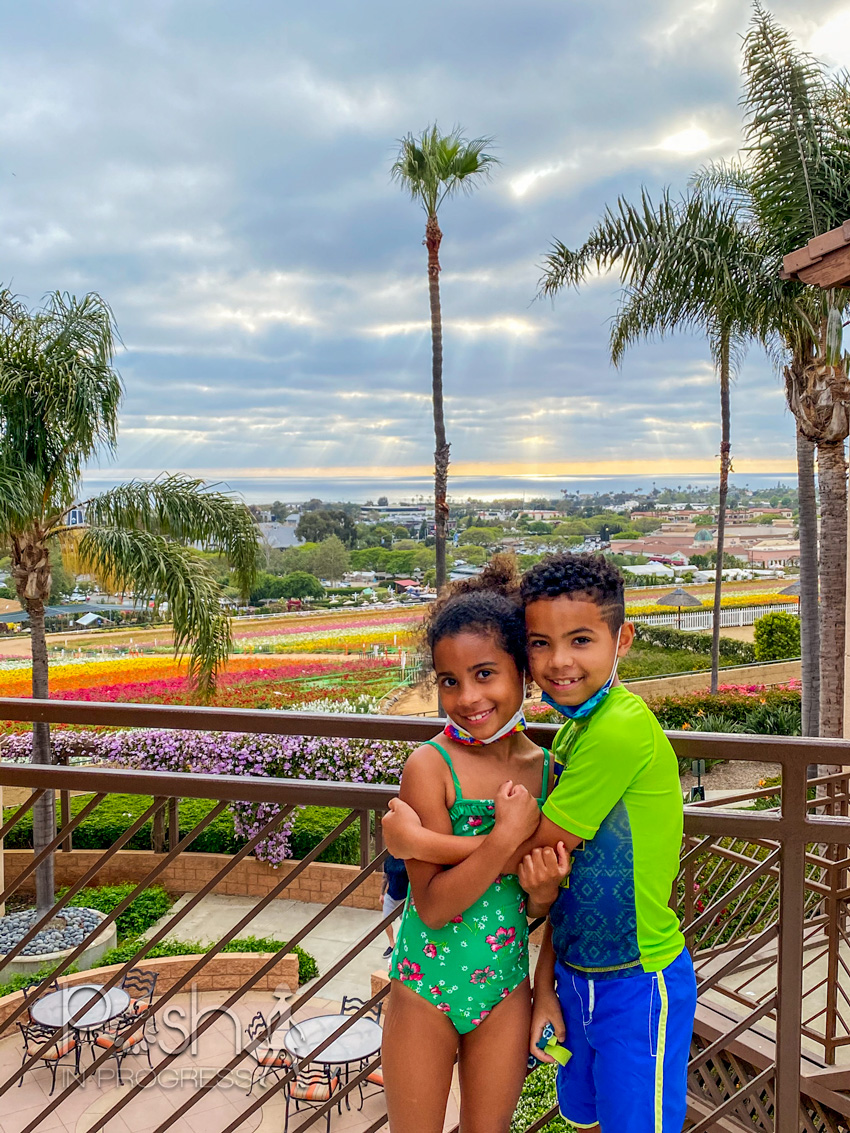 Carlsbad Flower Fields by popular LA lifestyle blog, Posh in Progress: image of a young boy and girl wearing swimsuits and hugging eachother while standing on some stairs that overlook the Carlsbad flower fields. 