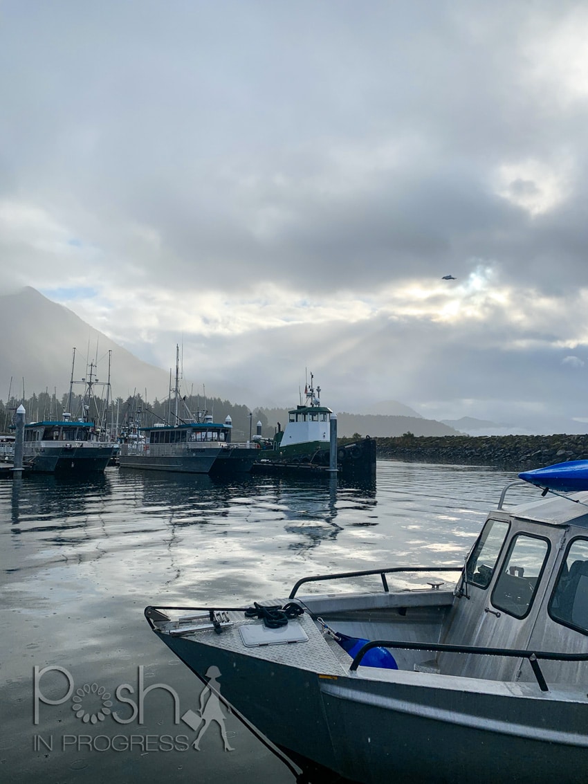 Sitka Alaska Whale Watching 2