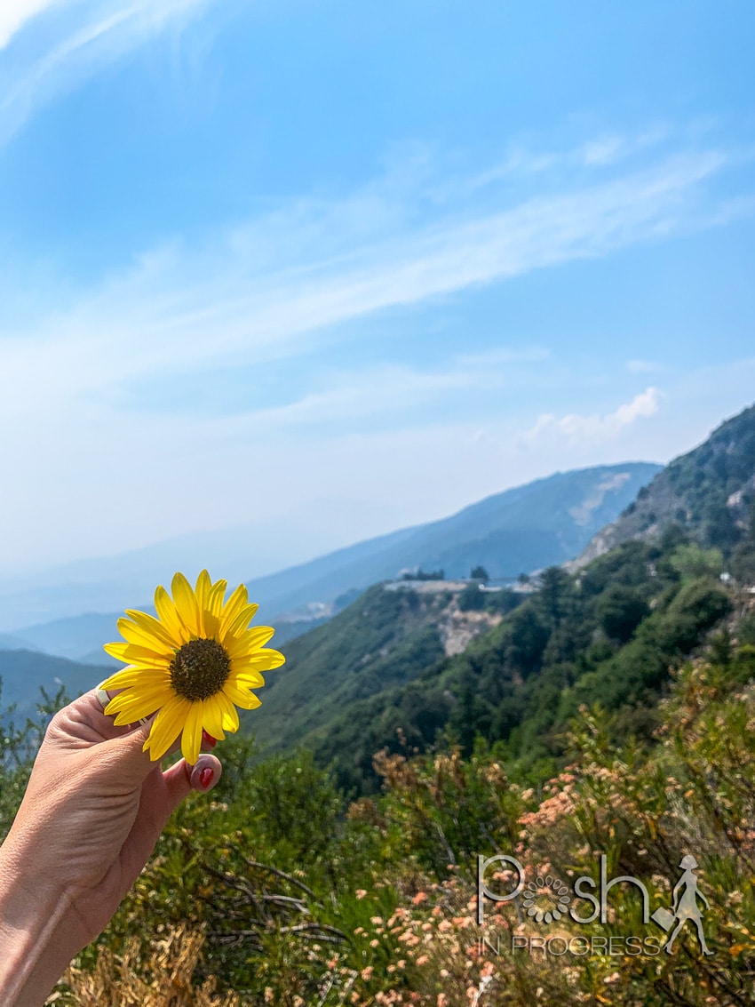 Lake Arrowhead California 2