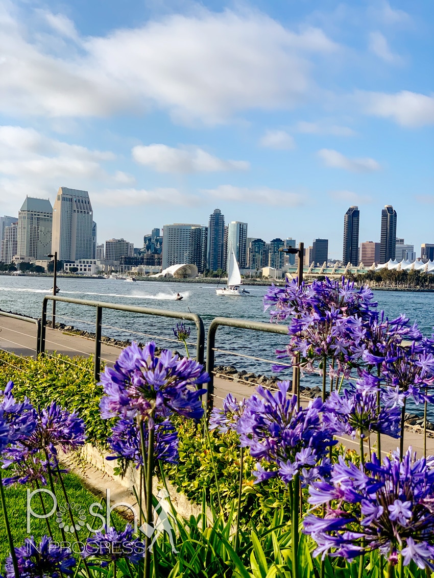 how to vacation during covid