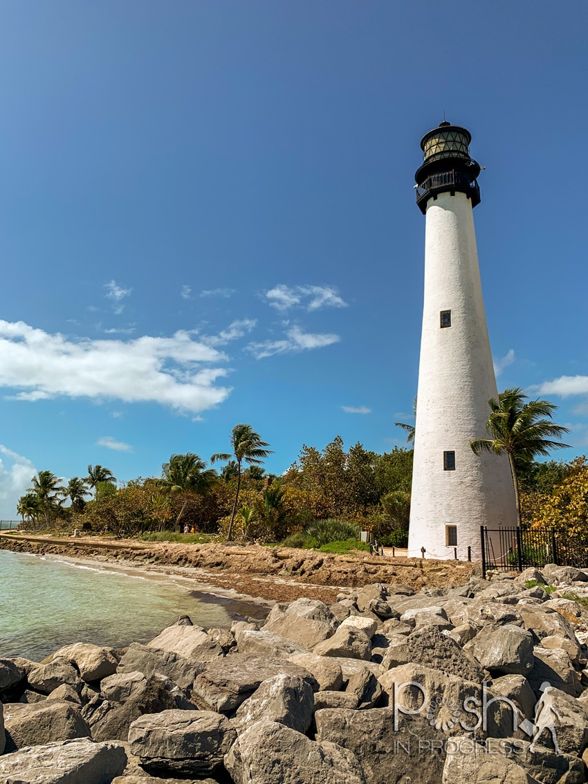 things to do in miami 3