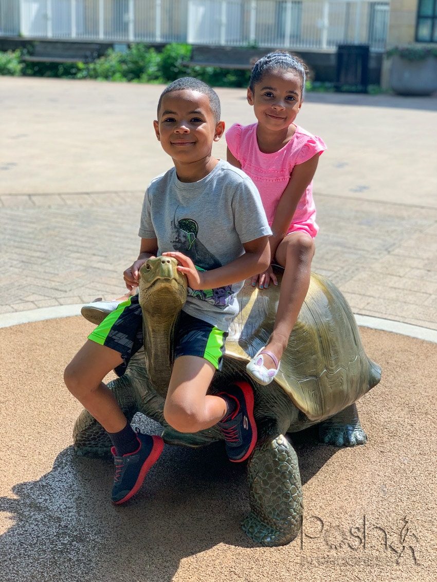 kid-friendly things to do in the Twin Cities 2