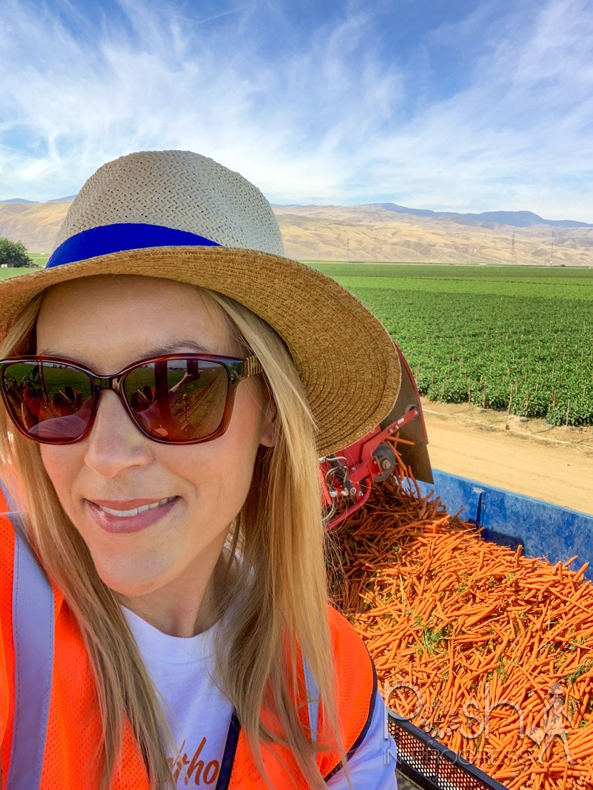 where your food comes from 2