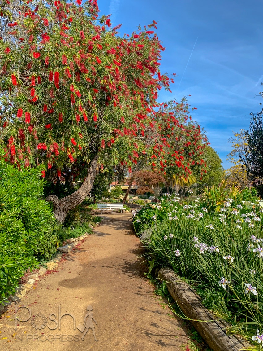 south coast botanic garden 2